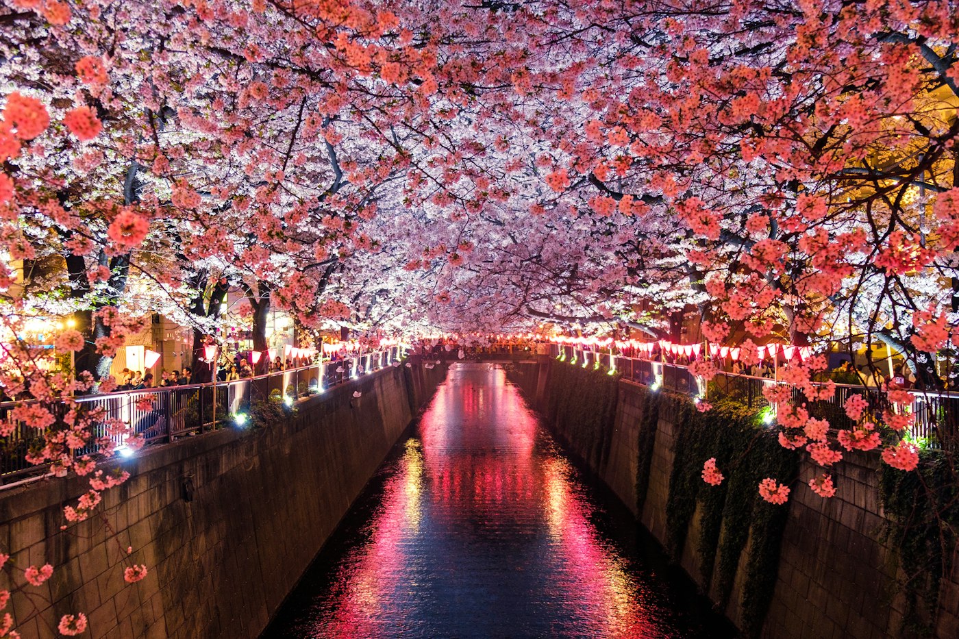 奥飞乐园