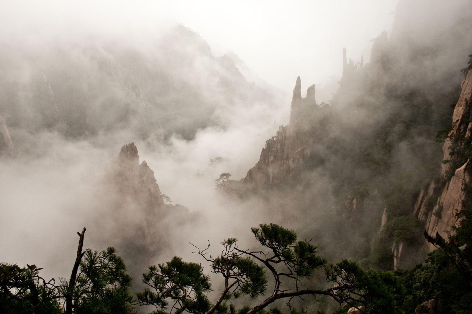黄山云雾